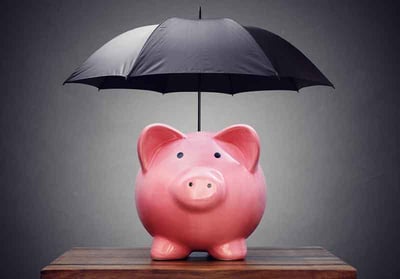 piggy-bank-preservation-optimized-is505029896.jpg