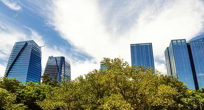 building-skyline-trees-optimized-is508186414.jpg