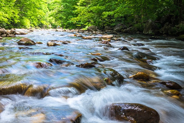 An outdoor scene of a serene river, which symbolizes the feeling of knowing how to calculate cash flow for a potential investment.
