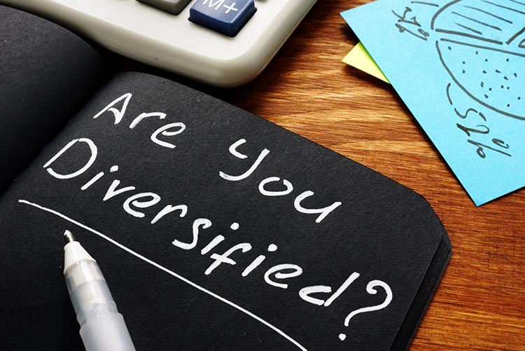 What is Portfolio Diversification and Why Is It Important?