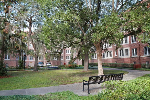 dorms-trees-bench-IS-499368850