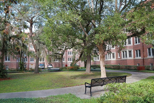 dorms-trees-bench-IS-499368850