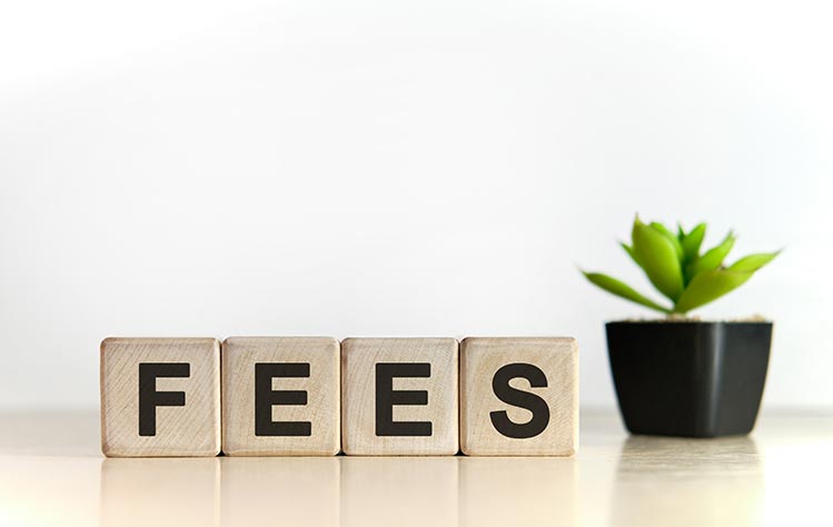 fees-blocks-plant-IS-1212555902