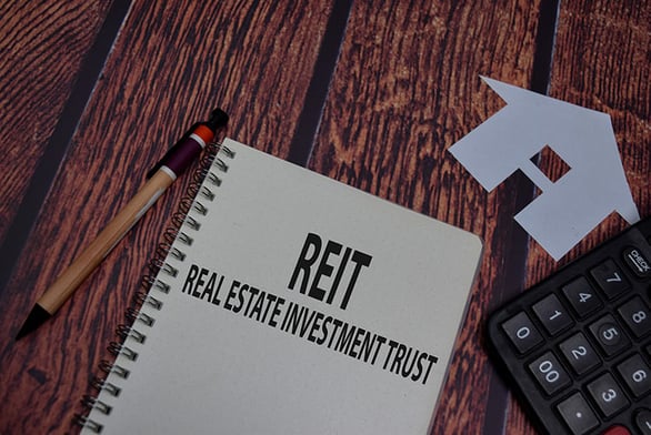 reit-pen-wood-IS-1269829905