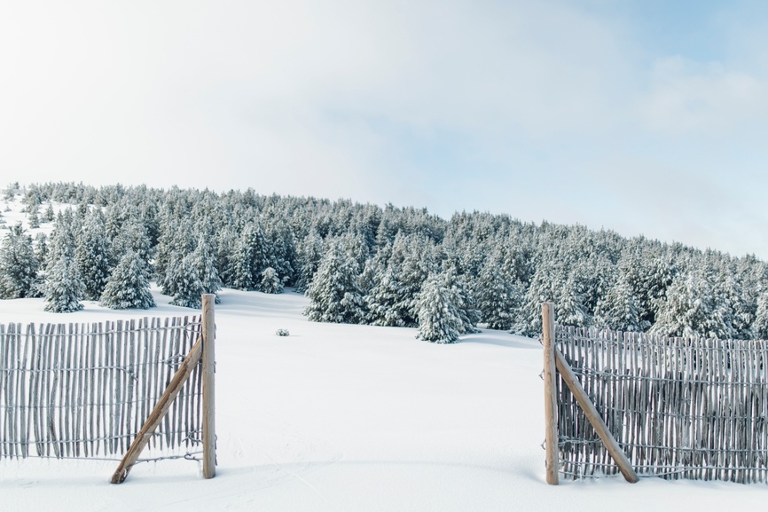 Snow Fence