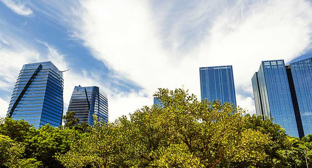 City Skyline Above Trees