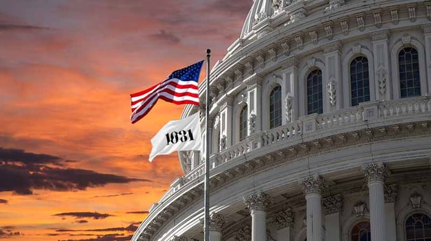 1031 Flag Flying in Washington DC Congress