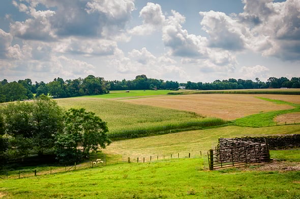 farm-1284235717