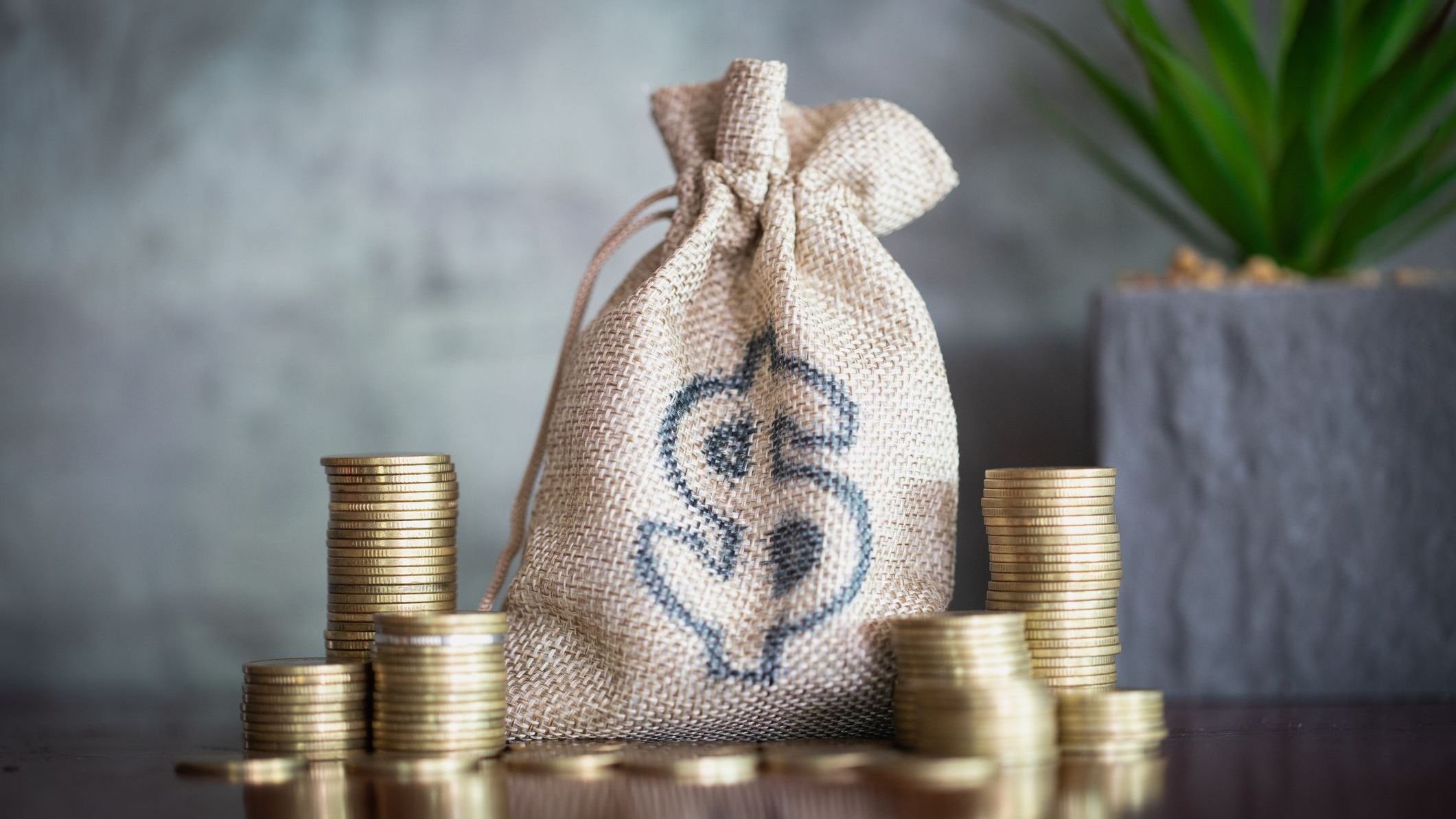 Stack coins growing, cash in hemp bags.