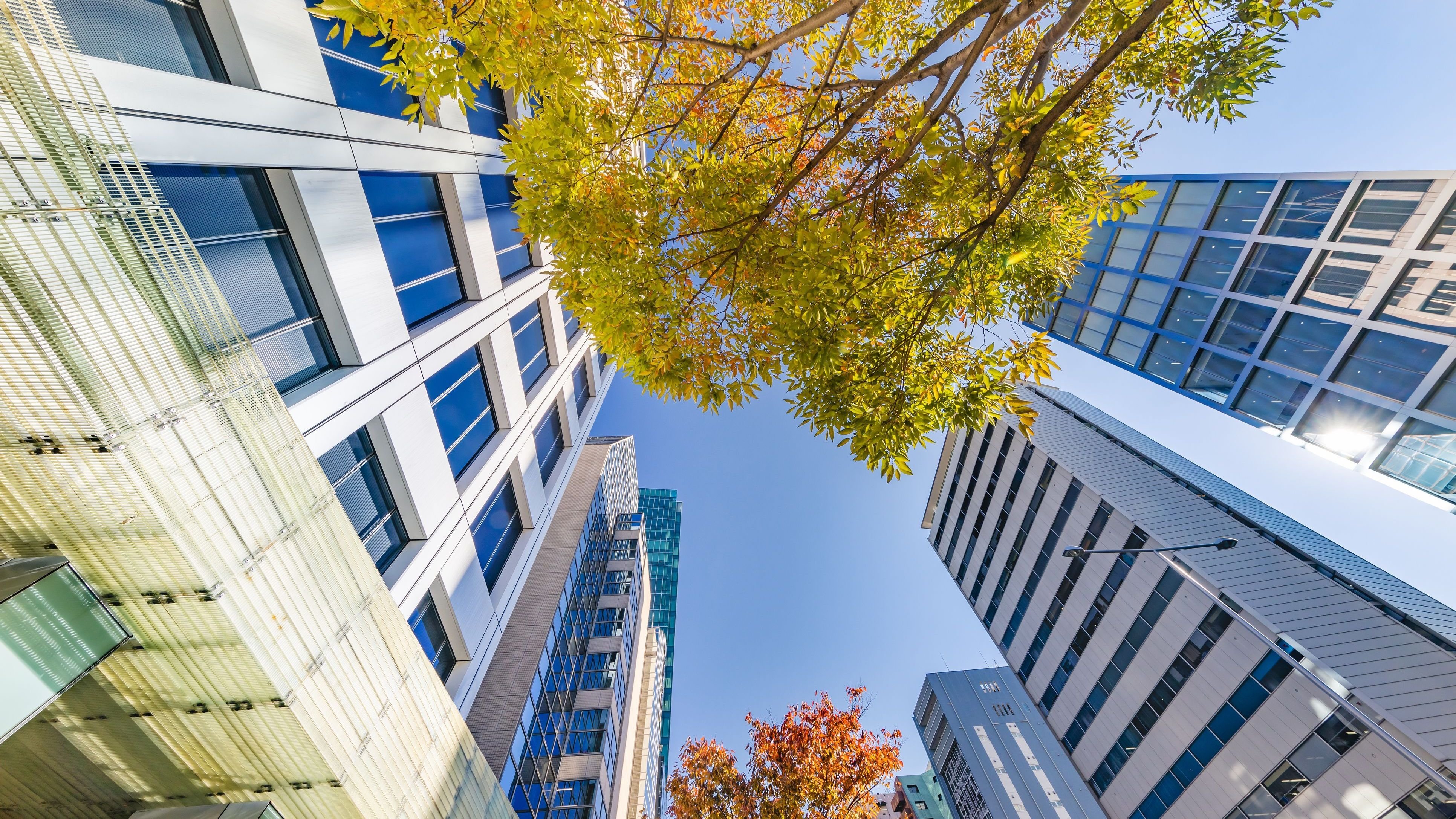 Urban buildings and blue sky.