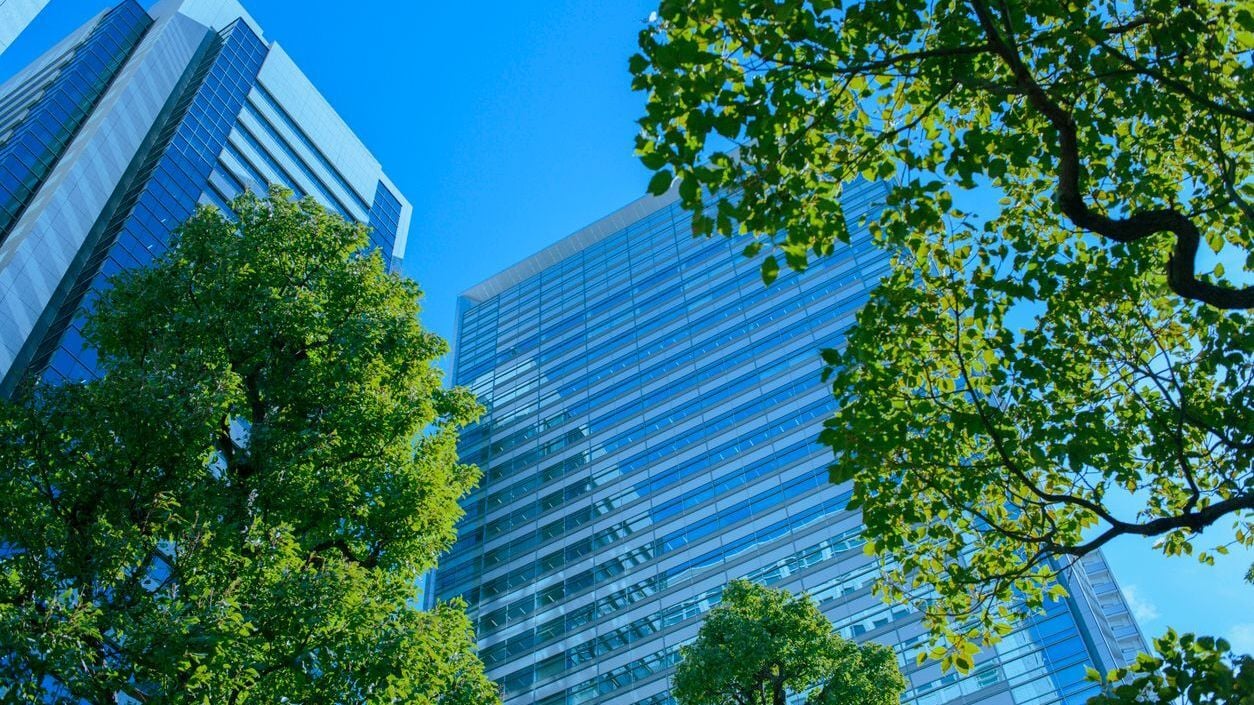 Office building and green tree.