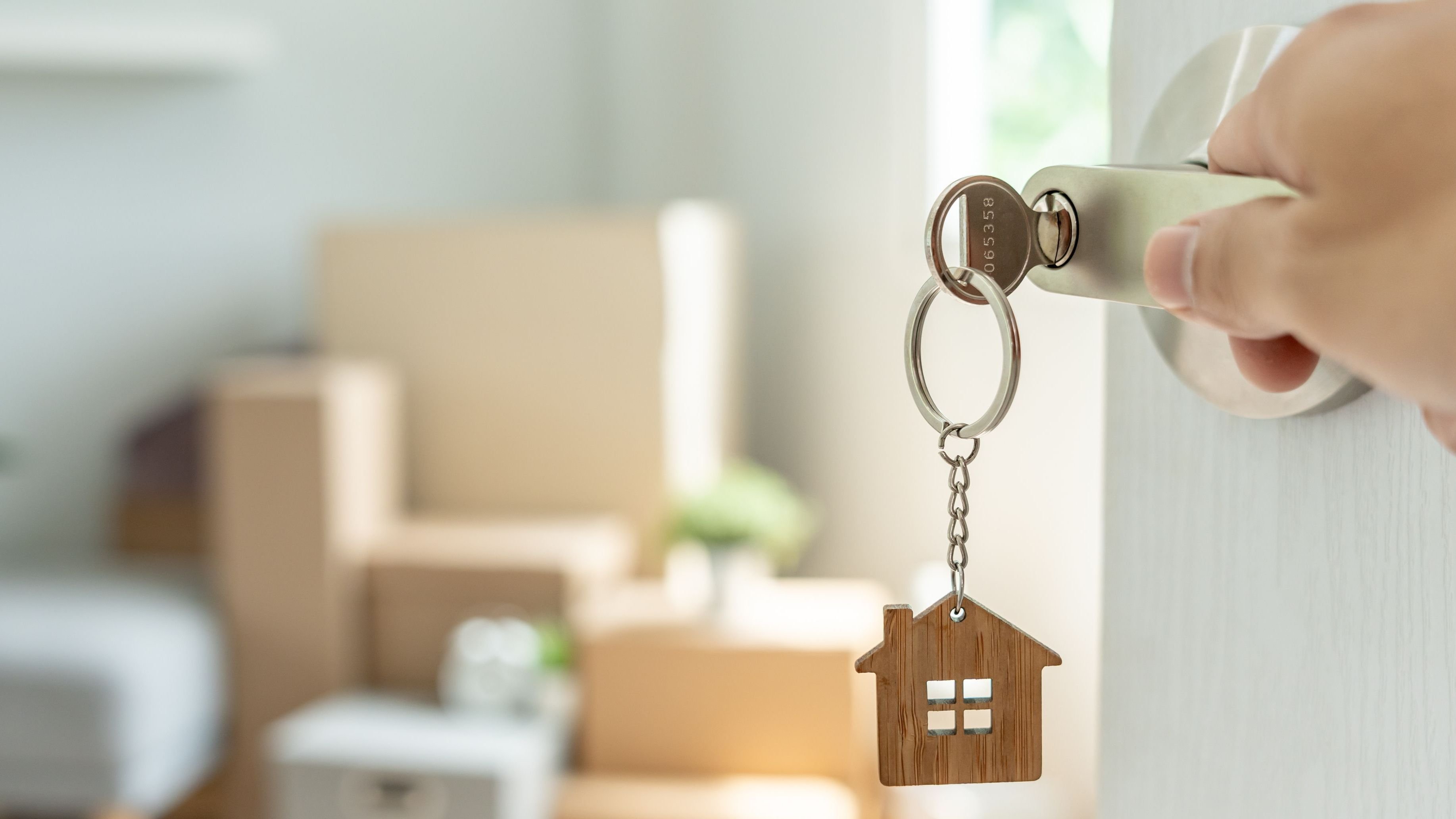 Single-Family Rental REITs: What They Are and How They ...