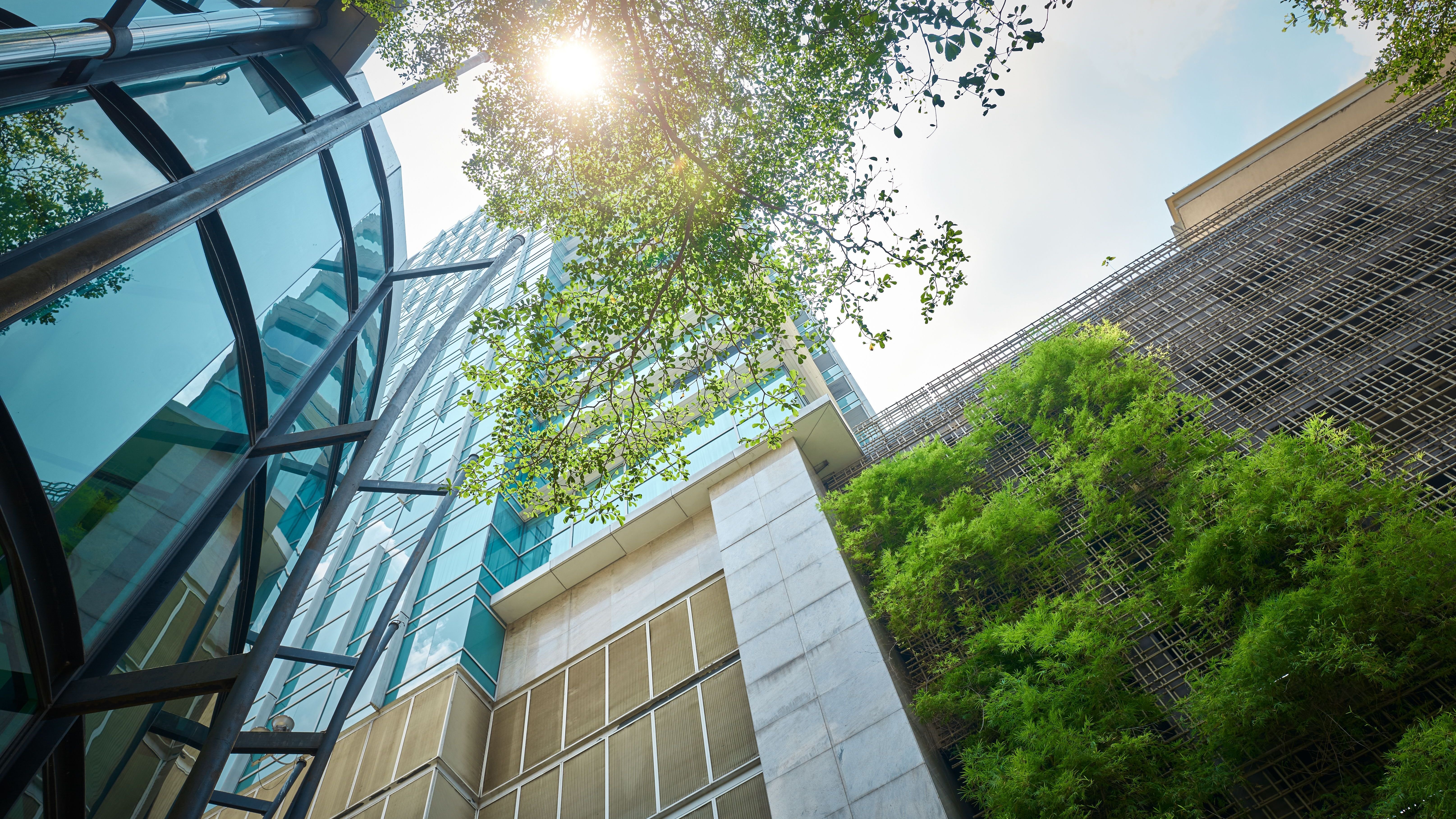 Sunlight peering over modern urban buildings.