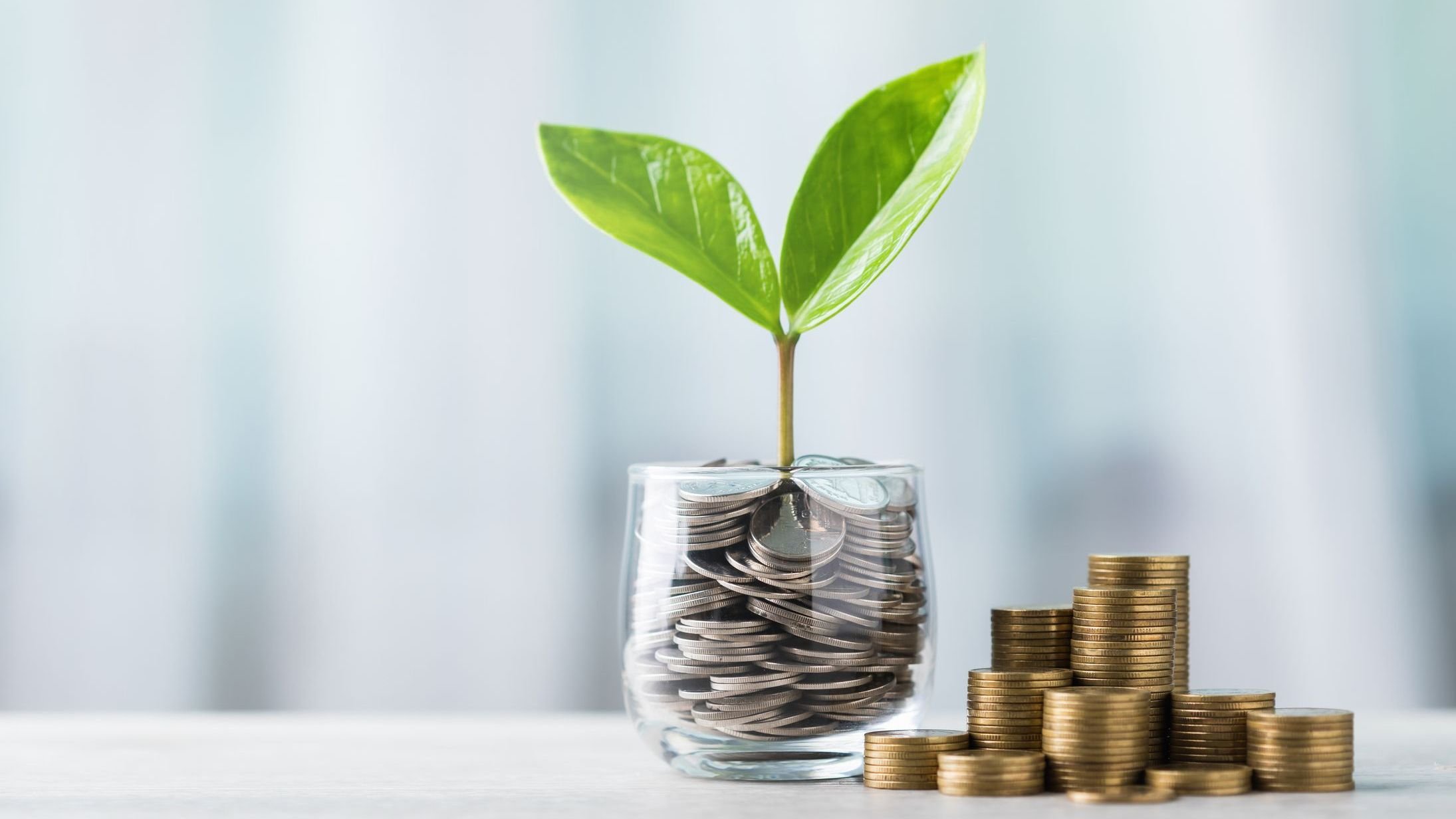 Glass jar filled with coins and a small seedling in the center.