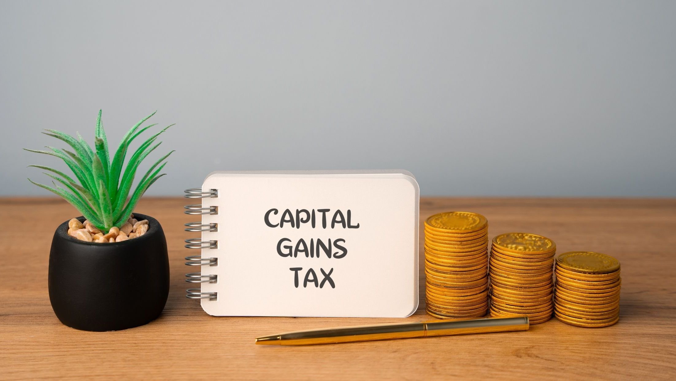 Small plant sitting next to a notebook with capital gains tax written on it and coins.