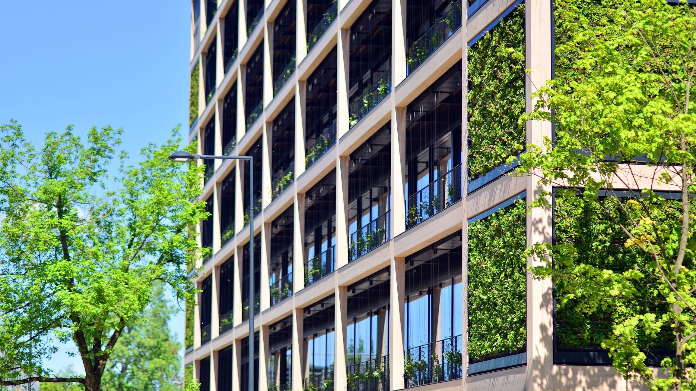 Modern city eco office building with tree.