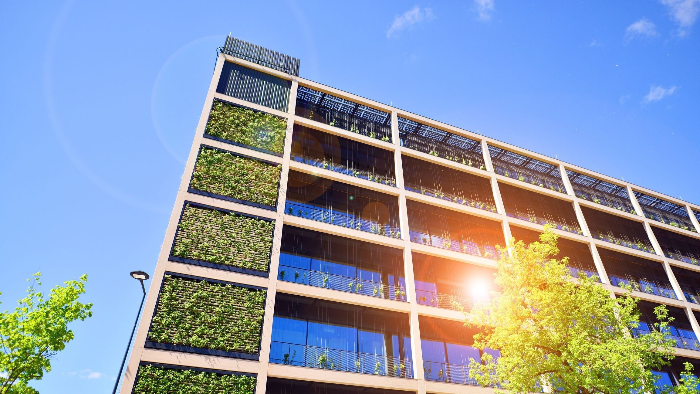 Modern city eco office building with tree.