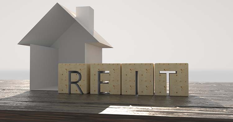 The Pros and Cons of REITs