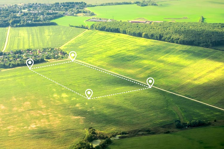 What is the Difference Between Raw Land and Vacant Land?