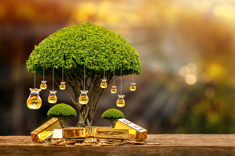 What is the Difference Between Under Contract and Pending in Real Estate?