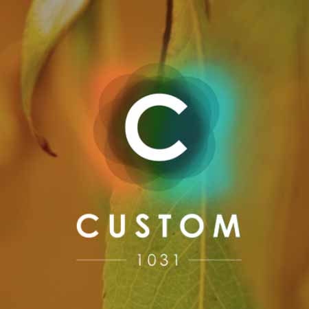 Custom 1031, Inc.