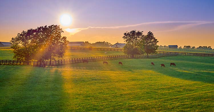 Can a 1031 Exchange Be Used for Farmland?