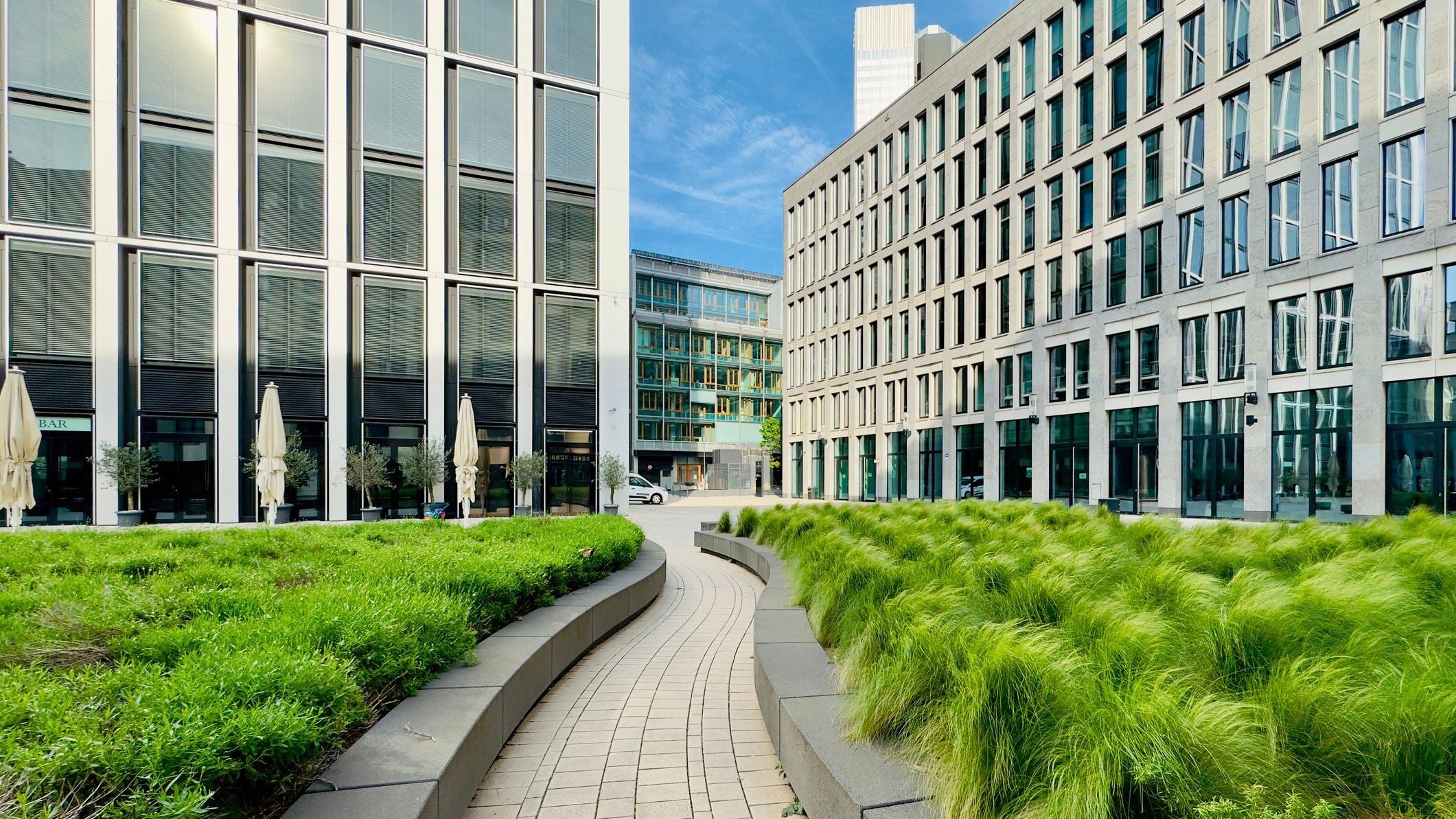 Modern urban courtyard flanked by tall office buildings with large glass windows.